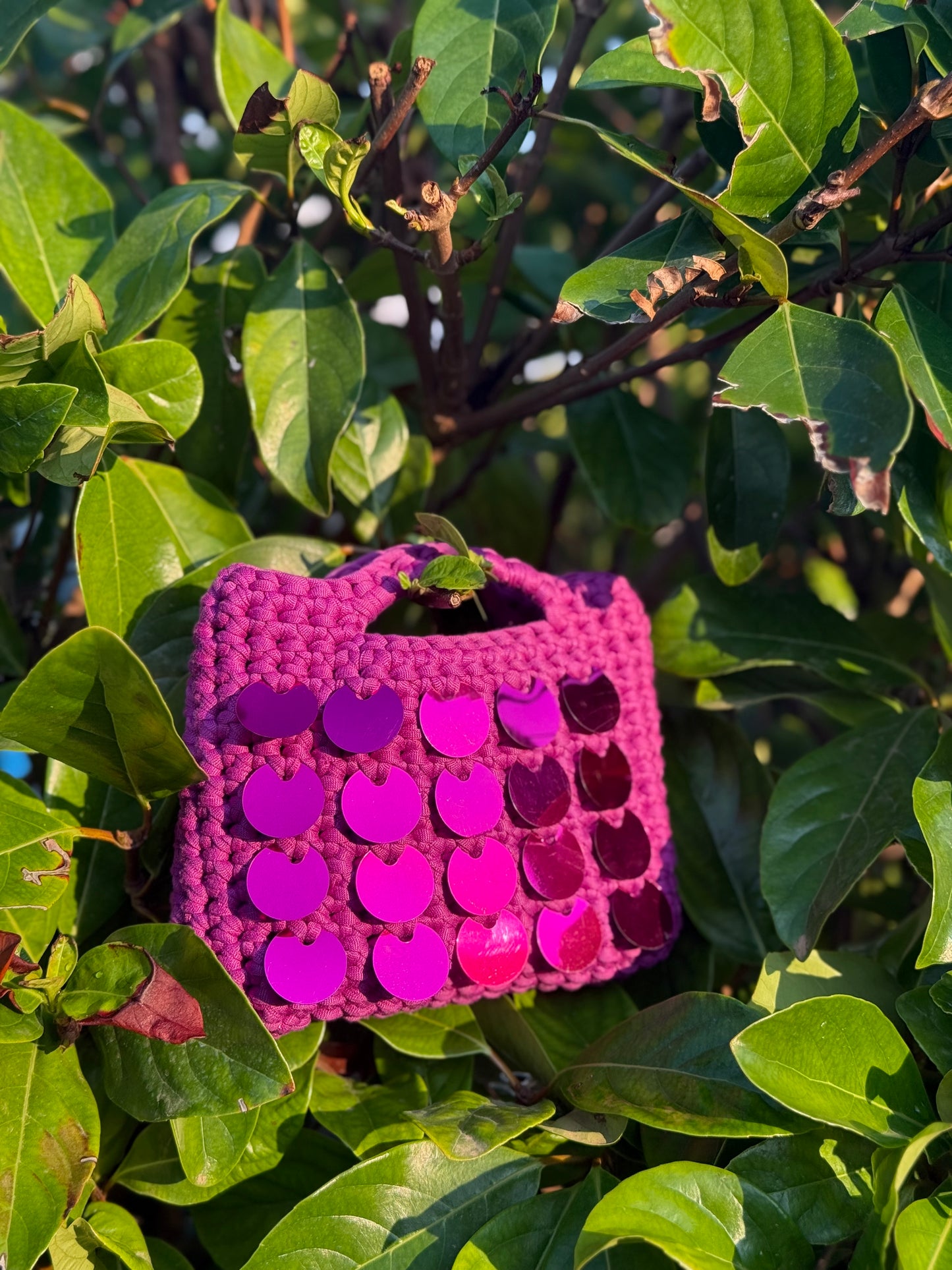 Bag Luxury Star