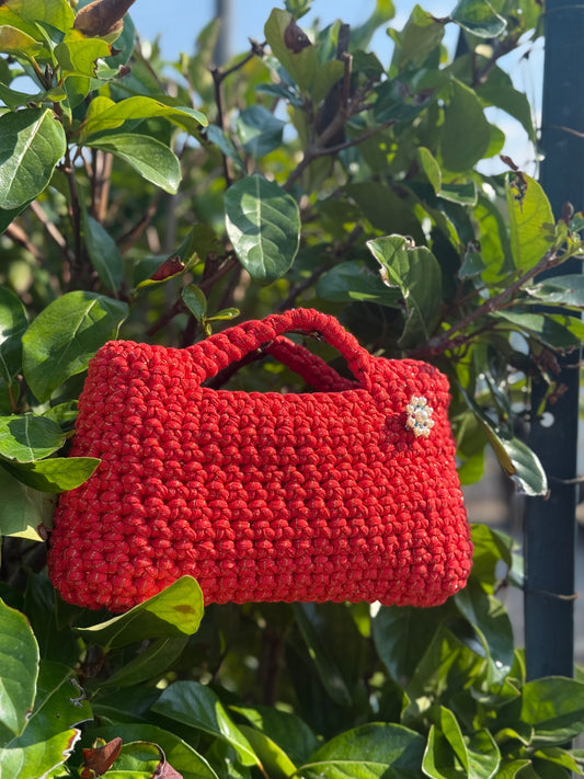 Bag Shine
